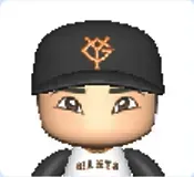 皆川岳飛
